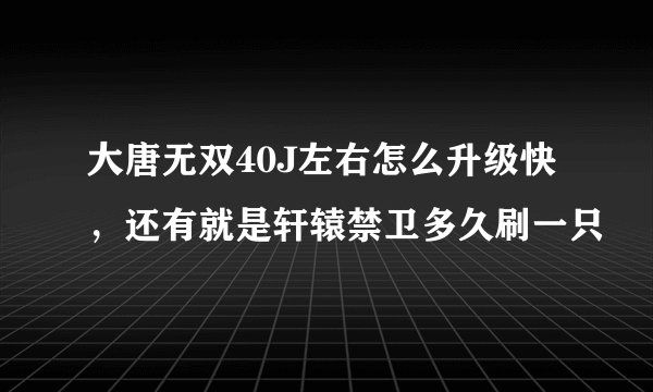 大唐无双40J左右怎么升级快，还有就是轩辕禁卫多久刷一只
