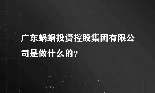 广东蜗蜗投资控股集团有限公司是做什么的？