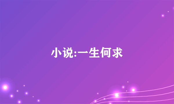 小说:一生何求