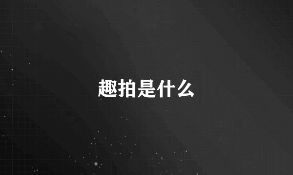 趣拍是什么