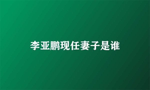 李亚鹏现任妻子是谁