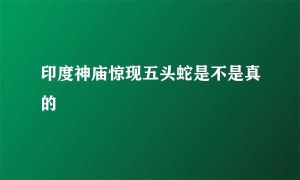 印度神庙惊现五头蛇是不是真的
