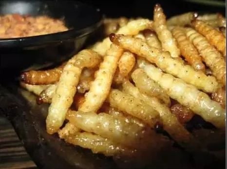 广东人吃虫子是真的吗?