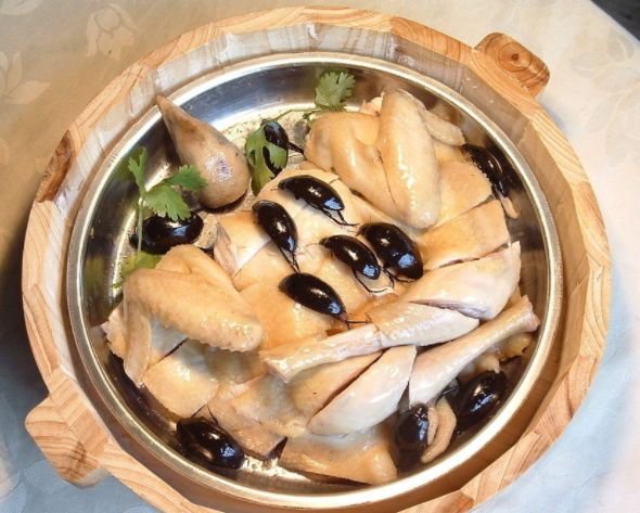 广东人吃虫子是真的吗?