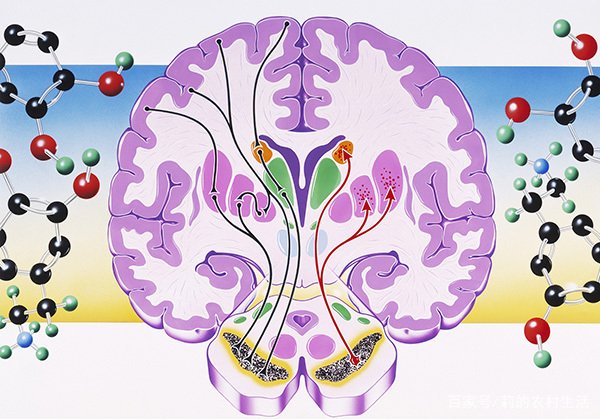 为什么有人说，