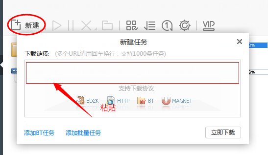奥斯卡电影的迅雷下载
