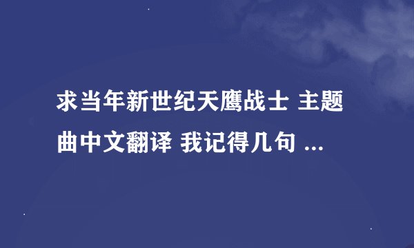 求当年新世纪天鹰战士 主题曲中文翻译 我记得几句 勇敢的少年啊 忘了一句 为了明天快去创造奇迹