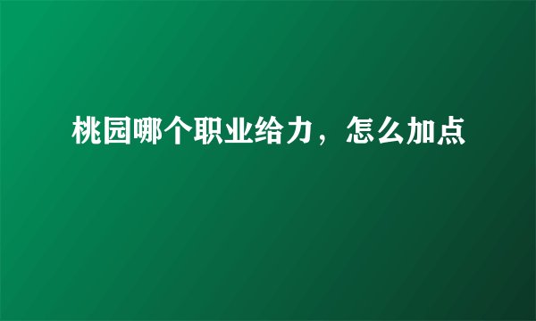 桃园哪个职业给力，怎么加点