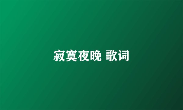 寂寞夜晚 歌词