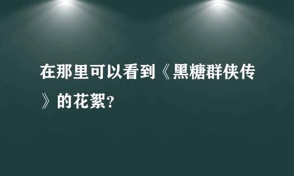 在那里可以看到《黑糖群侠传》的花絮？
