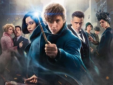 如何看待《神奇动物3》推迟开拍这件事情？