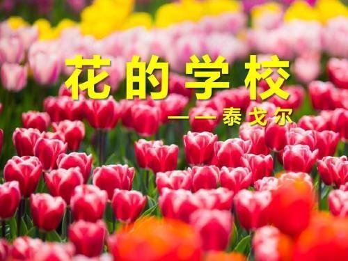为什么花的学校说雨一天来他们便放假了？