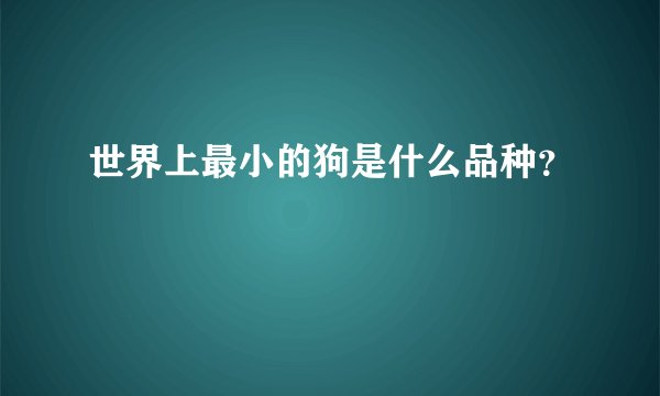 世界上最小的狗是什么品种？