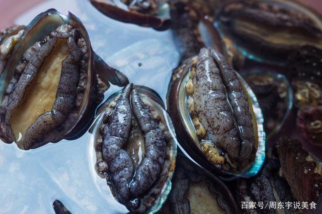 选几头的鲍鱼最好吃,购买时有哪些挑选的小技巧?