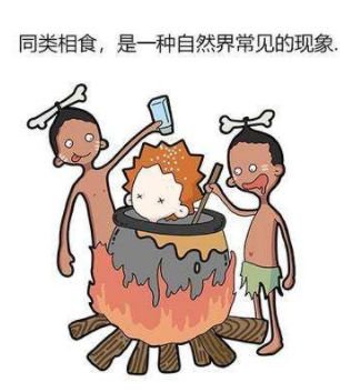 广东人吃虫子是真的吗?