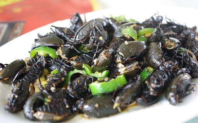 广东人吃虫子是真的吗?