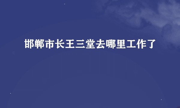 邯郸市长王三堂去哪里工作了
