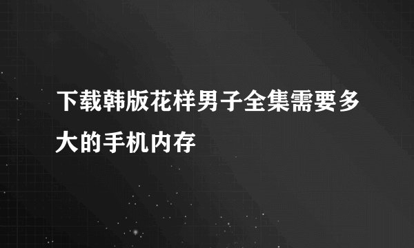 下载韩版花样男子全集需要多大的手机内存