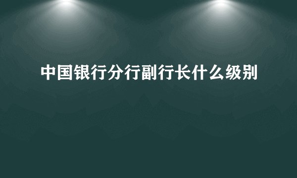 中国银行分行副行长什么级别