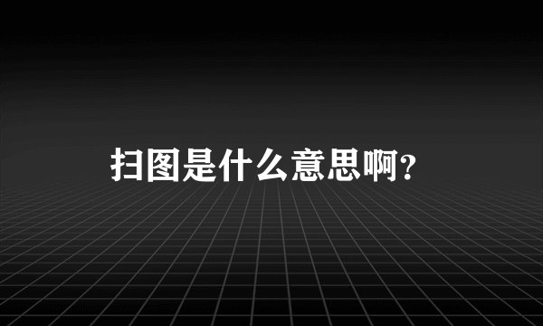 扫图是什么意思啊？