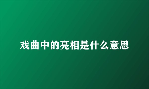 戏曲中的亮相是什么意思