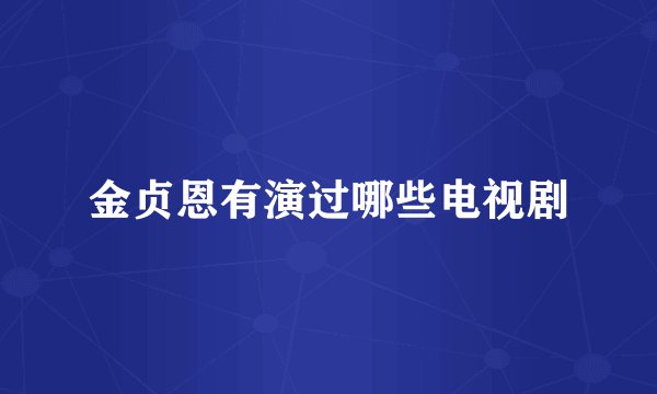 金贞恩有演过哪些电视剧