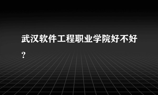 武汉软件工程职业学院好不好？