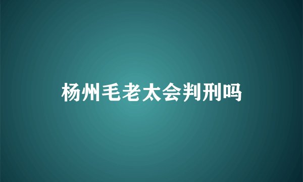 杨州毛老太会判刑吗
