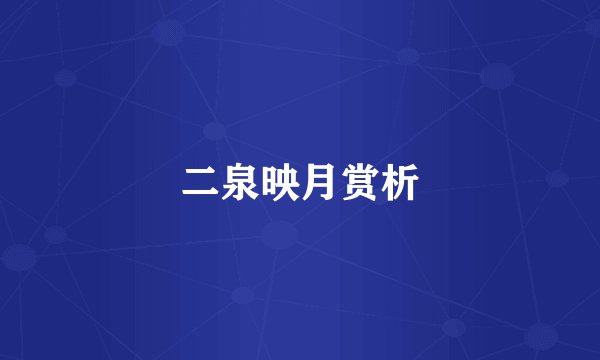 二泉映月赏析