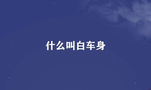 什么叫白车身