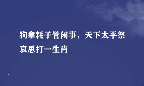 狗拿耗子管闲事，天下太平祭哀思打一生肖