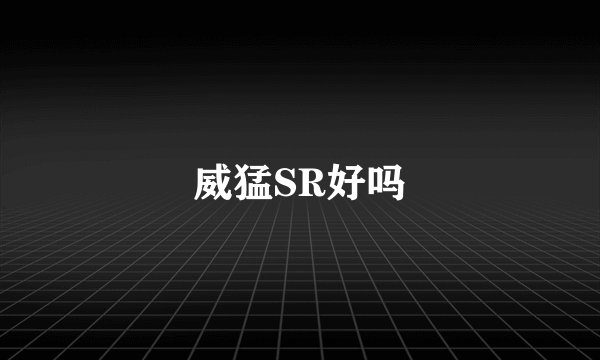 威猛SR好吗