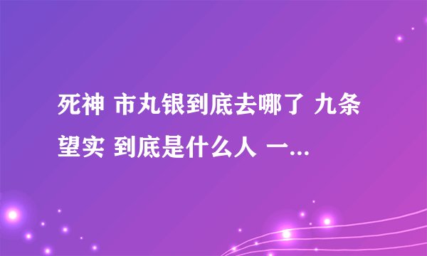 死神 市丸银到底去哪了 九条望实 到底是什么人 一护到底是什么 八千流斩魄刀能力