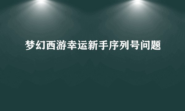 梦幻西游幸运新手序列号问题