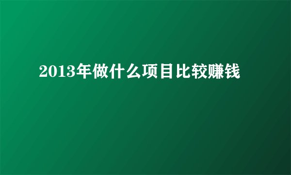 2013年做什么项目比较赚钱