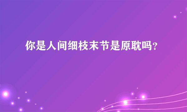 你是人间细枝末节是原耽吗?