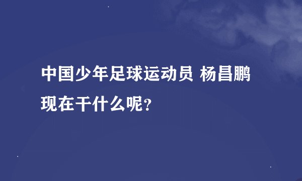 中国少年足球运动员 杨昌鹏 现在干什么呢？