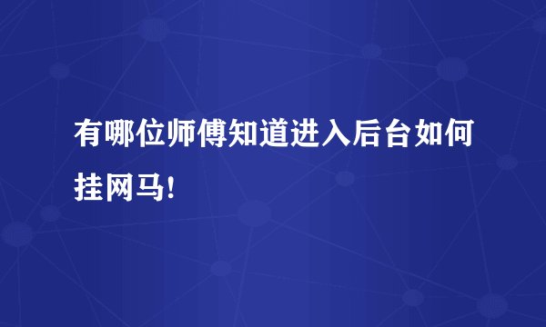 有哪位师傅知道进入后台如何挂网马!