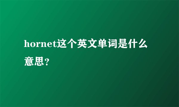 hornet这个英文单词是什么意思？