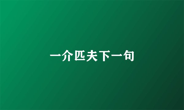 一介匹夫下一句