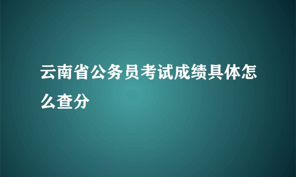 云南省公务员考试成绩具体怎么查分