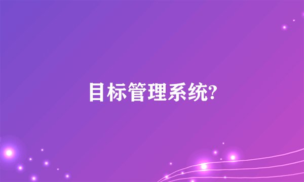 目标管理系统?