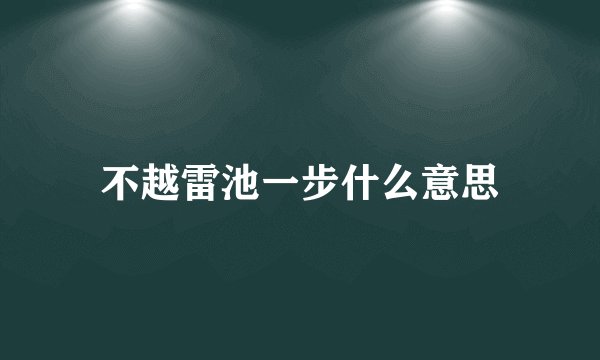 不越雷池一步什么意思