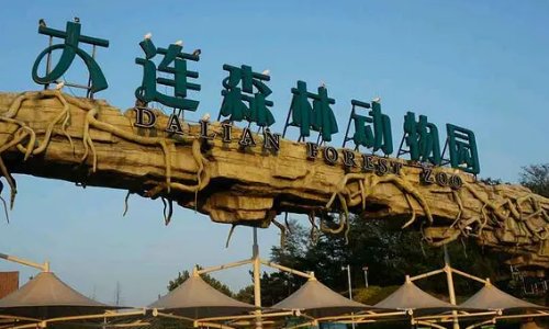 大连攻略必去的地方
