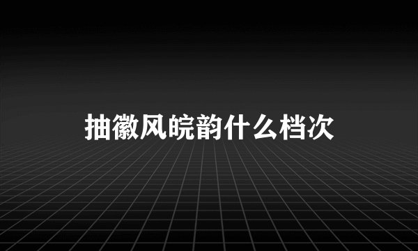 抽徽风皖韵什么档次