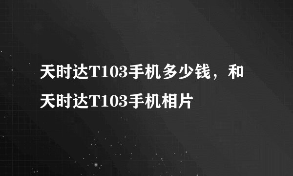 天时达T103手机多少钱，和天时达T103手机相片