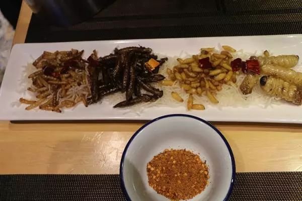 广东人吃虫子是真的吗?