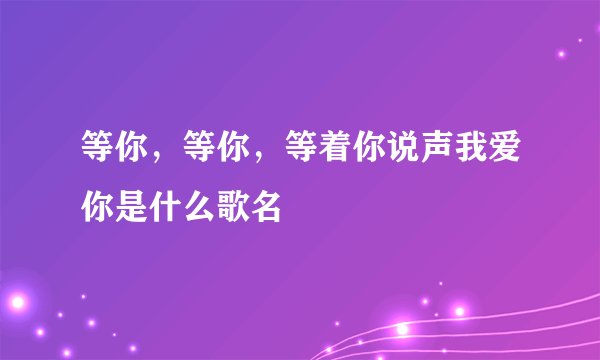等你，等你，等着你说声我爱你是什么歌名