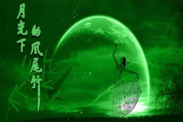 傣族最火的歌曲是哪一首?
