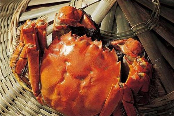 被称为“纸螃蟹”的蟹券里，都藏了什么秘密？